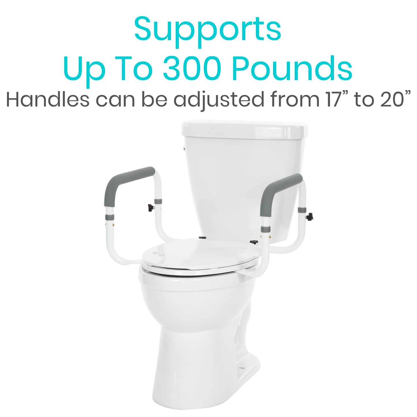 Vive Toilet Safety Rail