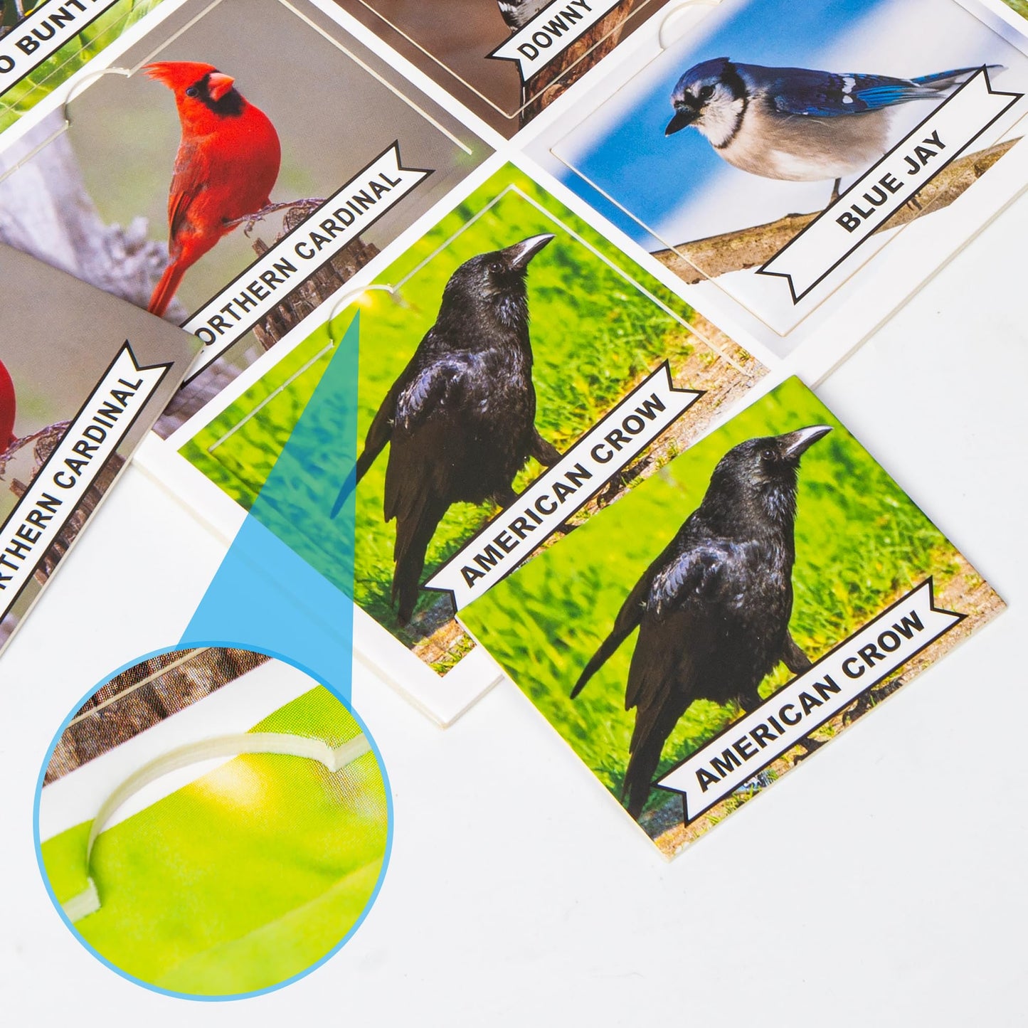 Assistex Matching Game Activity Board
