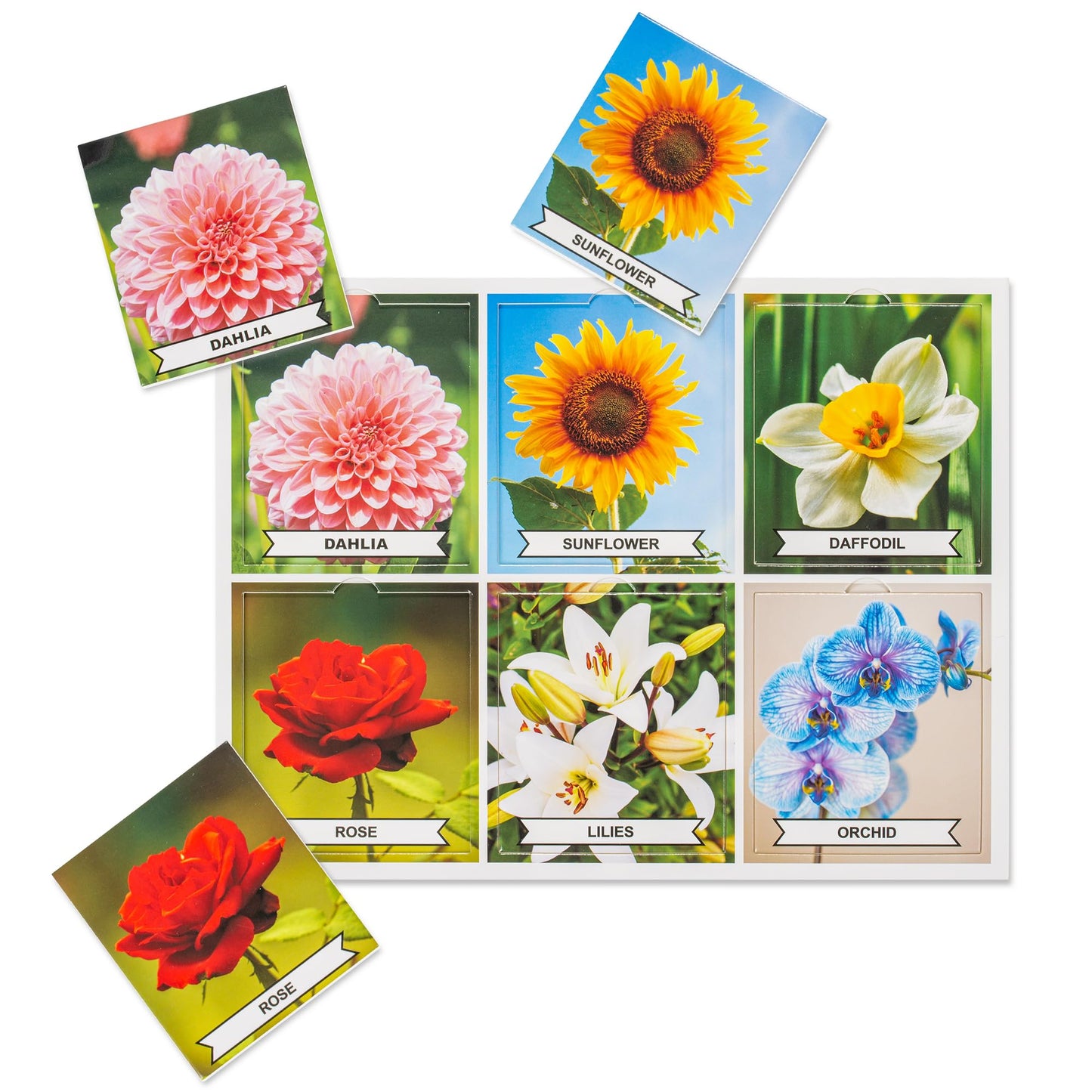 Assistex Matching Game Activity Board