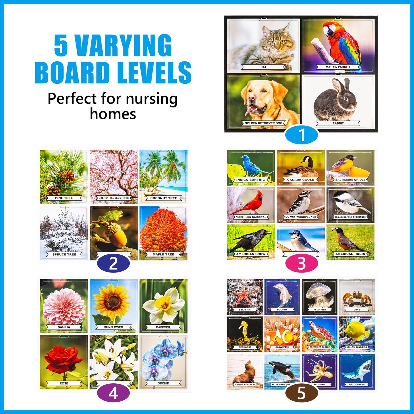 Assistex Matching Game Activity Board